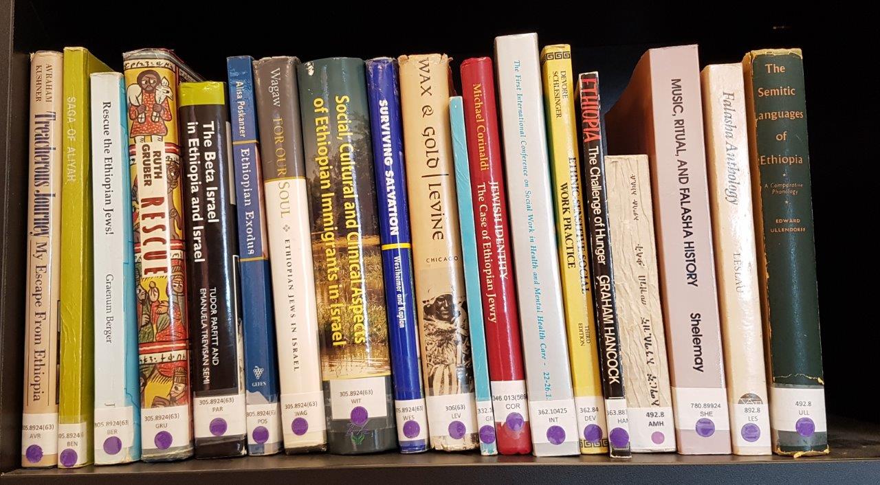 photo of shelf of books on Ethiopia in English 