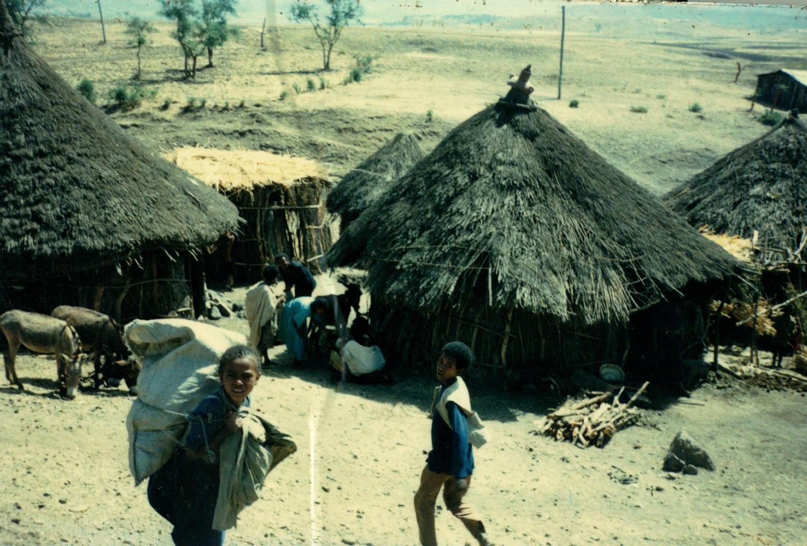 Danny Budovsky Photo 